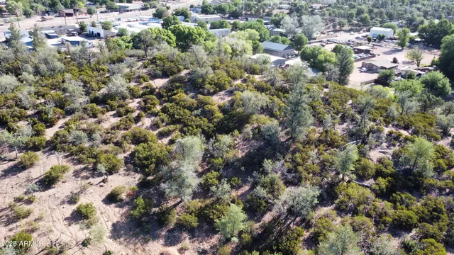 a view of a bunch of trees and bushes