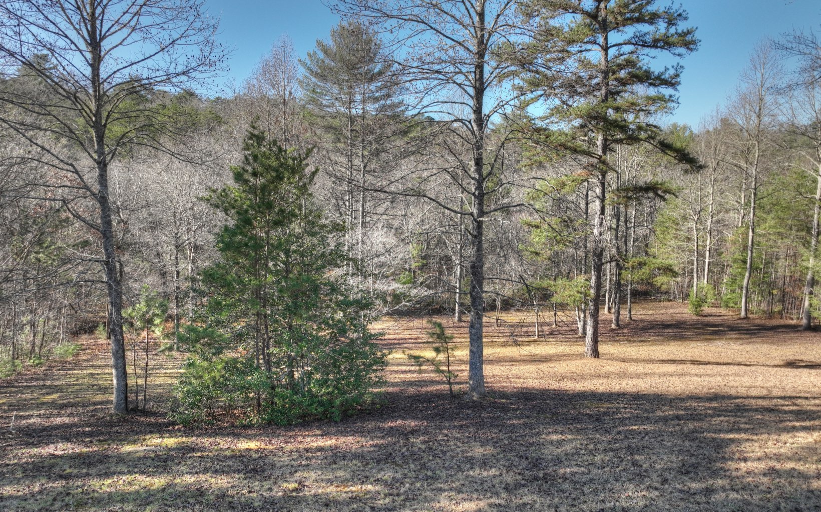 206 Cedar Valley Road Blue Ridge, GA 30513 - Photo 52 of 75 Additional View