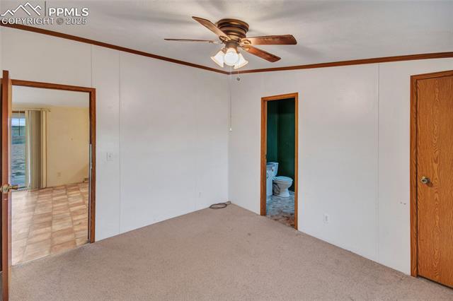 7940 Edison Road Yoder, CO 80864 - Photo 18 of 38 Empty room featuring ornamental molding, carpet flooring, and a ceiling fan