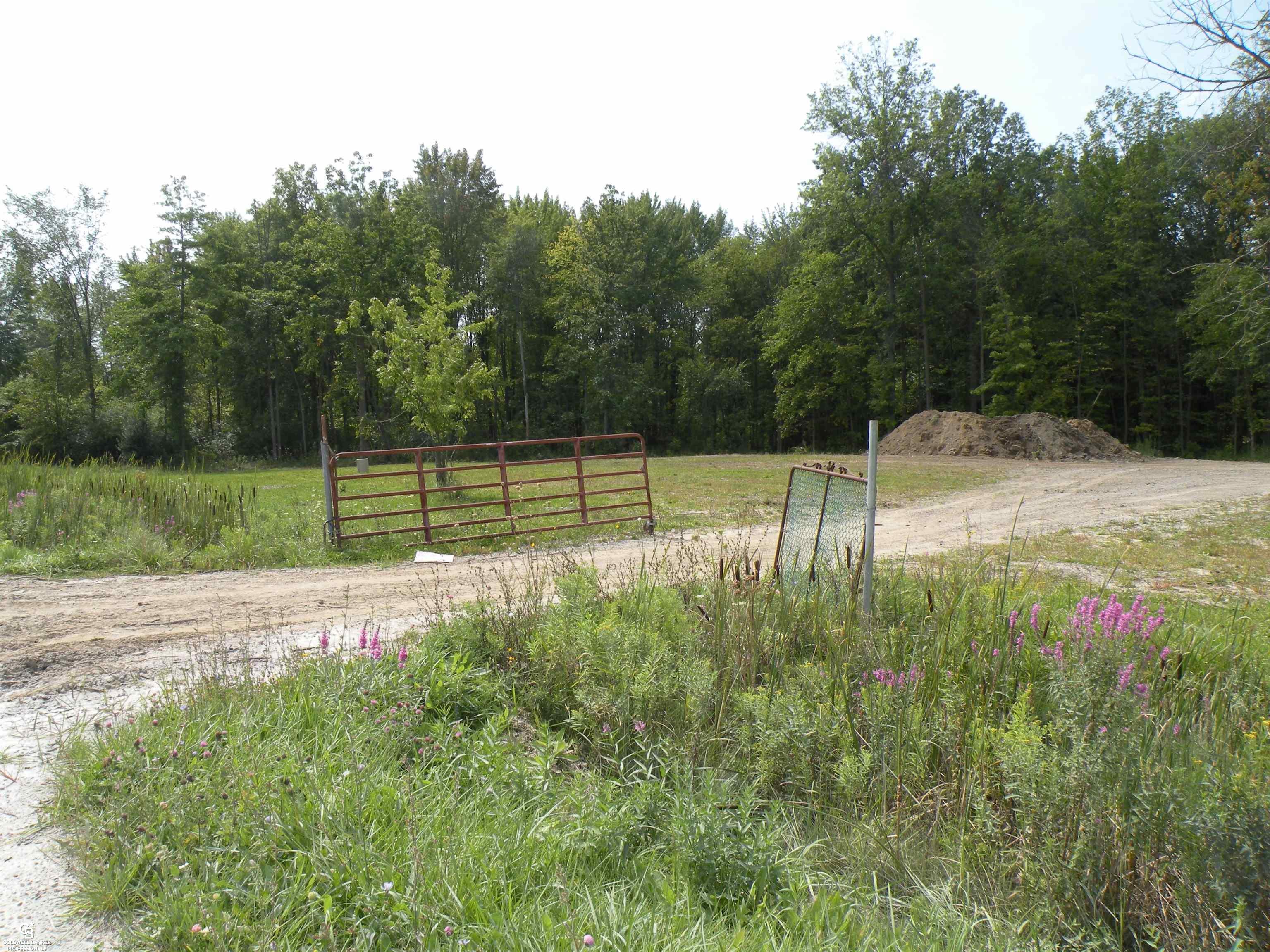 0 Meldrum Road Casco, MI 48064 - Photo 17 of 18 50120547-16.JPG