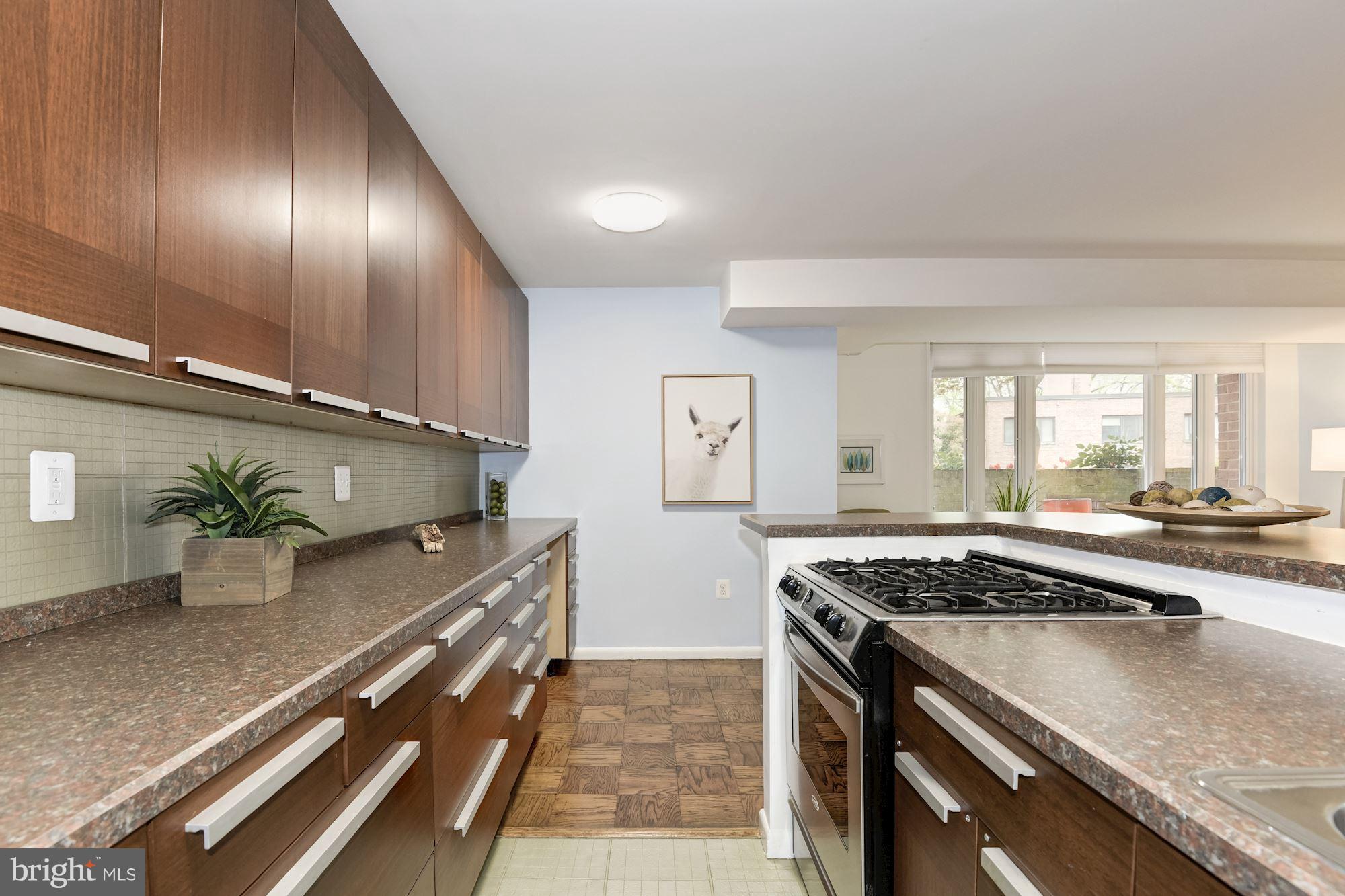 2400 41st Street Northwest, Unit 103 Washington, DC 20007 - Photo 10 of 19 Plenty of counter & cabinet space