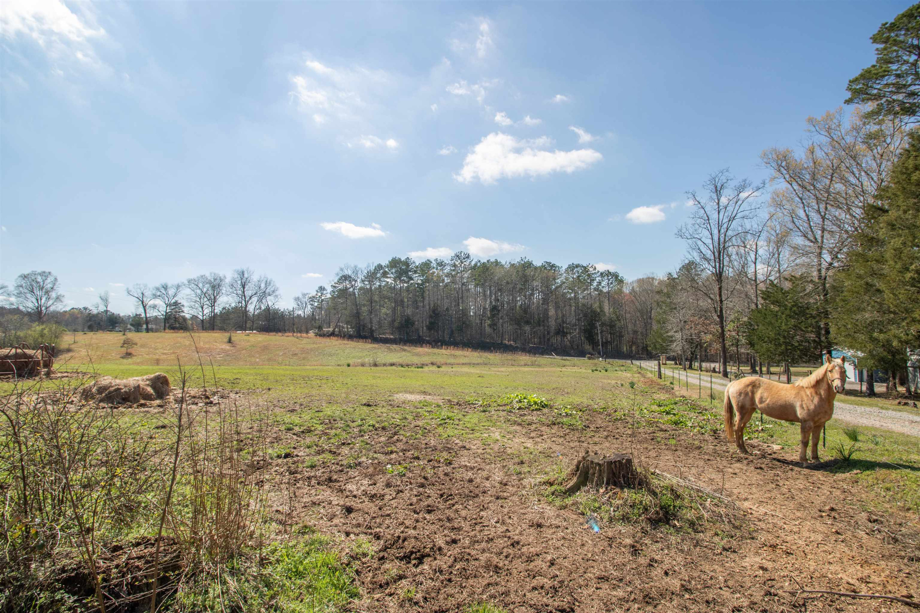 1865 Pulse Road Middleton, TN 38052 - Photo 42 of 47 Photo 42