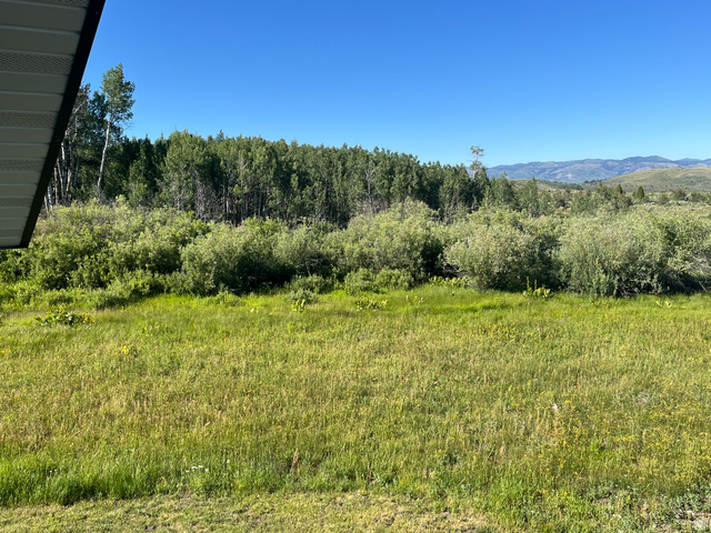 7631 Stauffer Canyon Road Montpelier, ID 83254 - Photo 25 of 35