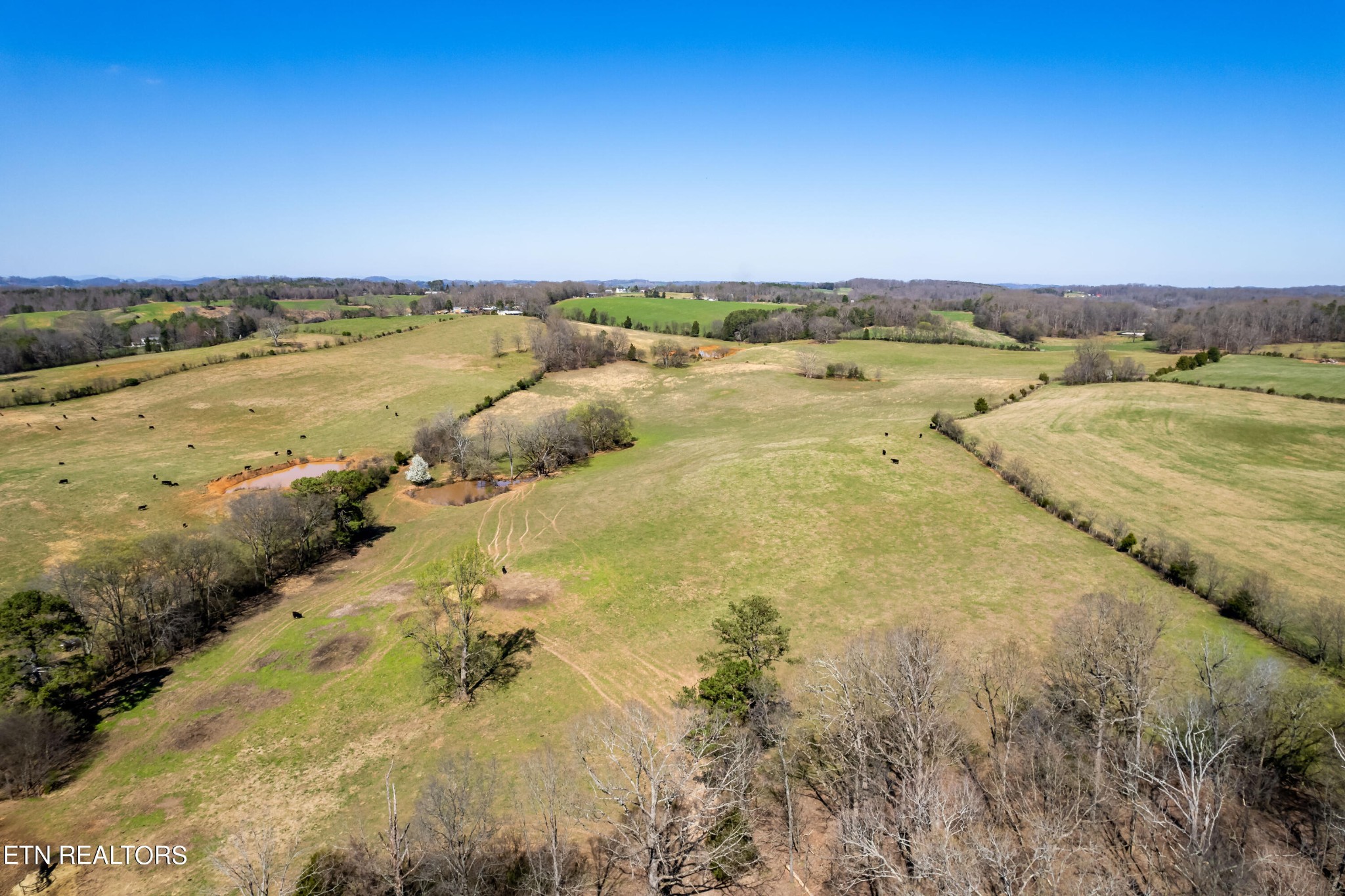 0 Trigonia Road Maryville, TN 37801 - Photo 5 of 26 Gallery Image 5