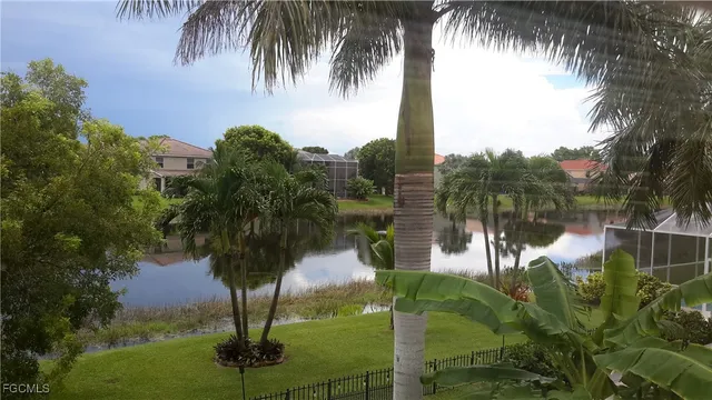 a lake view with palm trees