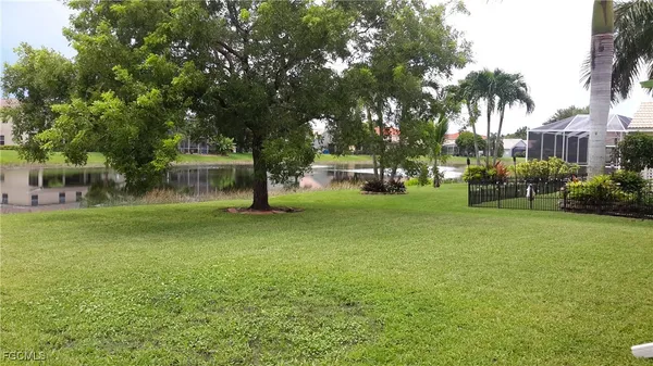 a view of a park with large trees
