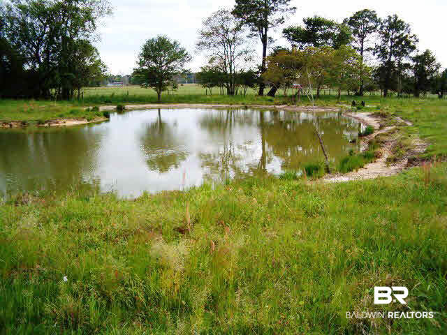 14270 County Road 93 Lillian, AL 36549 - Photo 3 of 6 Spring Fed Pond for Watering or Wild Life