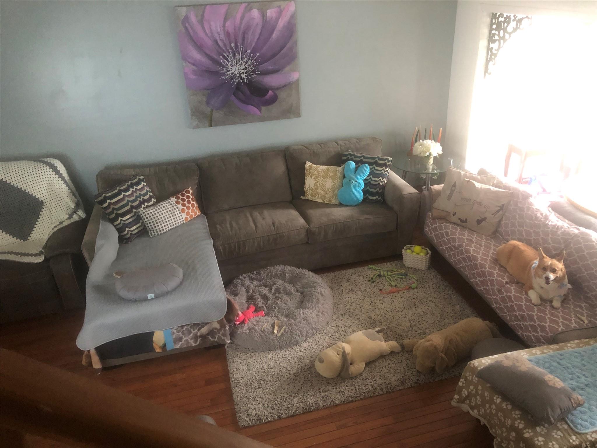 90-28 78th Street Queens, NY 11421 - Photo 2 of 14 Living room featuring hardwood / wood-style flooring