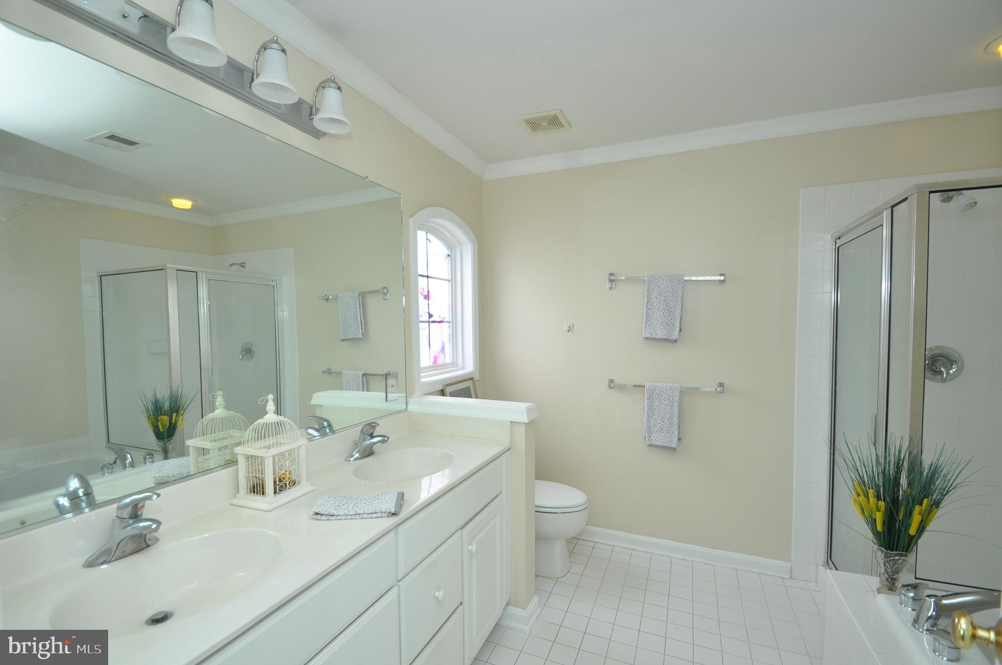 11412 Grandview Avenue Silver Spring, MD 20902 - Photo 13 of 17 MASTER BATH w/ SUPERBATH