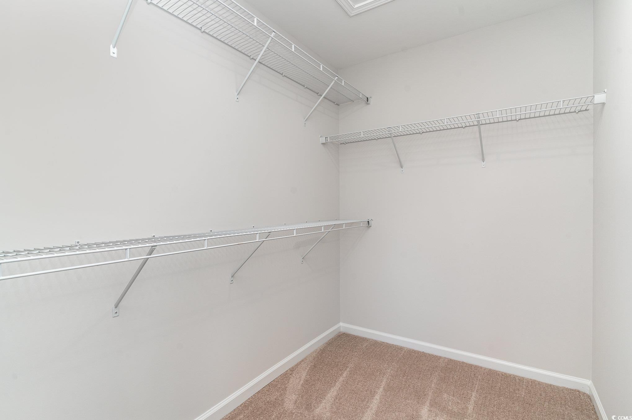 330 Barn Owl Way Conway, SC 29526 - Photo 15 of 23 Walk in closet with light colored carpet