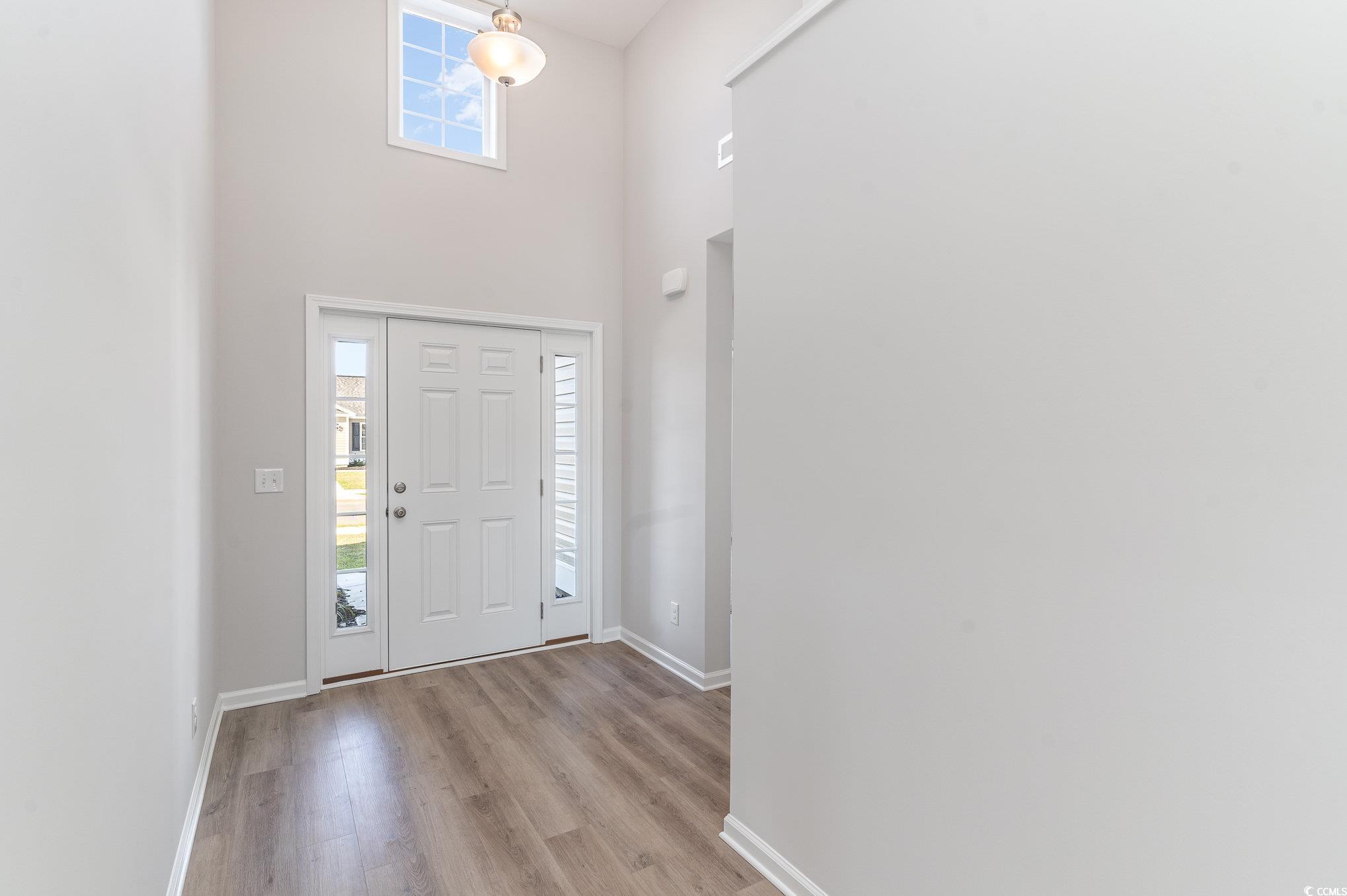 330 Barn Owl Way Conway, SC 29526 - Photo 2 of 23 Entrance foyer featuring light wood-style flooring and a towering ceiling