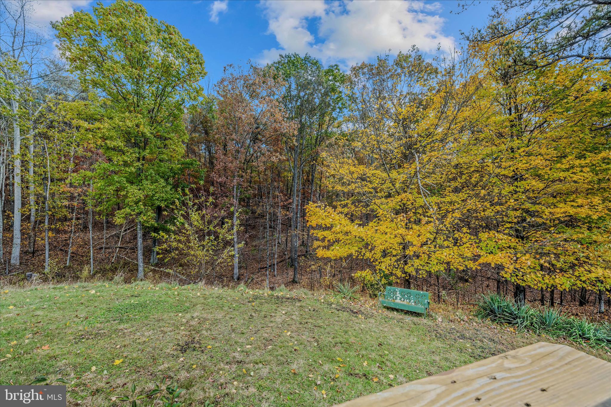 3041 Pine Grove Road Berkeley Springs, WV 25411 - Photo 31 of 99 a backyard of a house with lots of green space