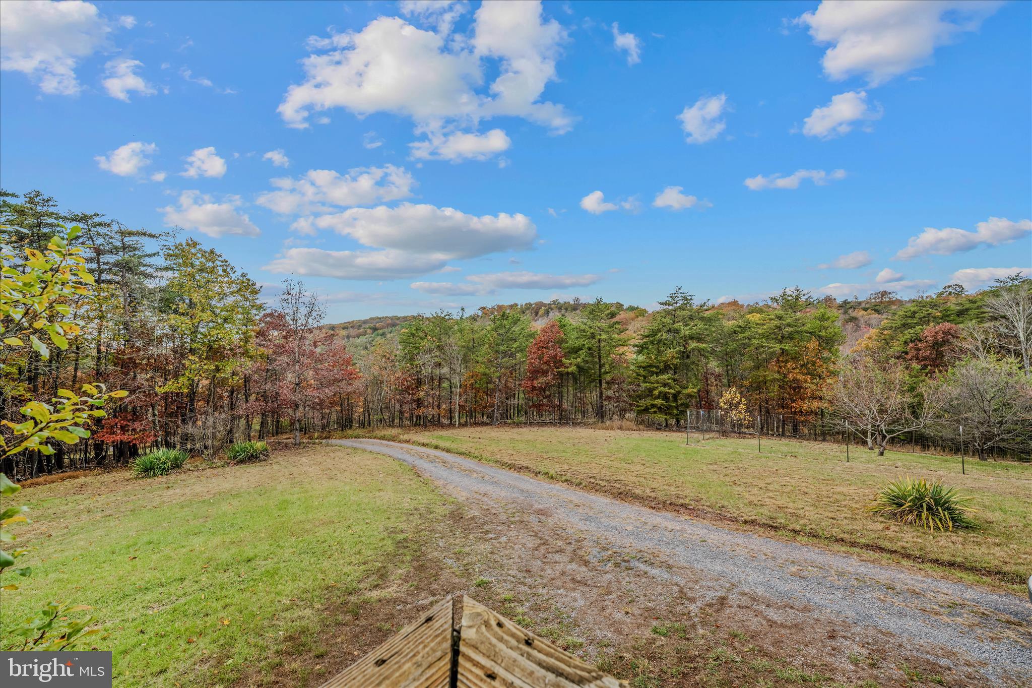 3041 Pine Grove Road Berkeley Springs, WV 25411 - Photo 32 of 99 a view of a field with an trees