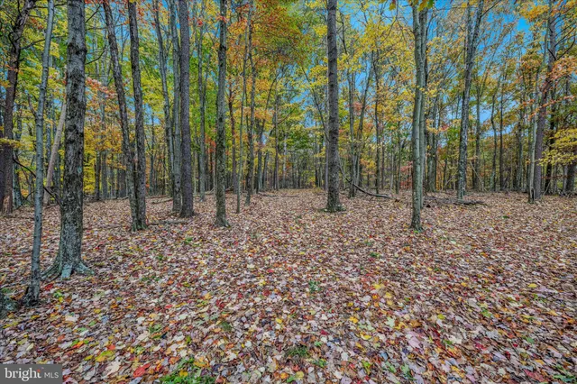 $635,000 | 3041 Pine Grove Road, Berkeley Springs, WV 25411