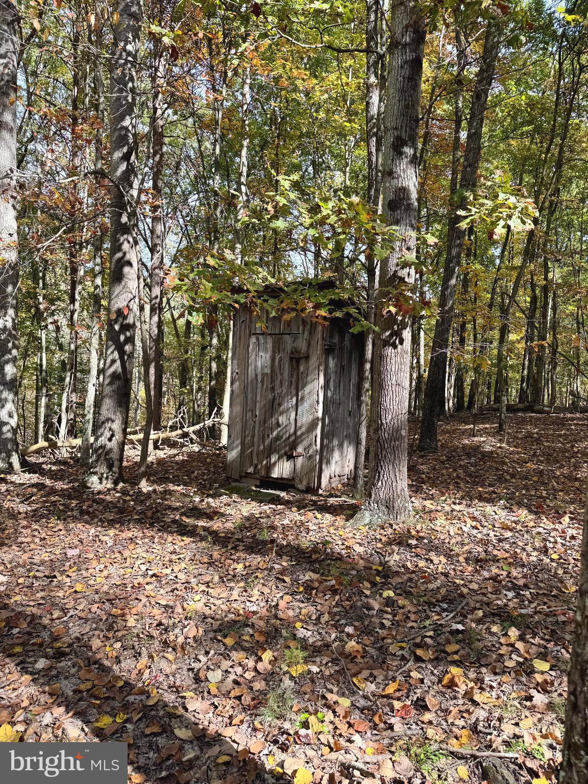 3041 Pine Grove Road Berkeley Springs, WV 25411 - Photo 74 of 99 a backyard of a house with lots of green space