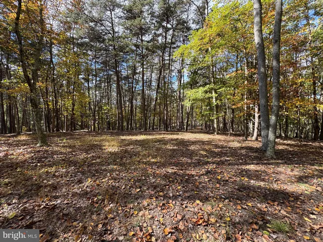 $635,000 | 3041 Pine Grove Road, Berkeley Springs, WV 25411