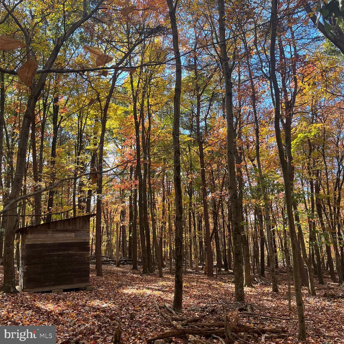 3041 Pine Grove Road Berkeley Springs, WV 25411 - Photo 99 of 99