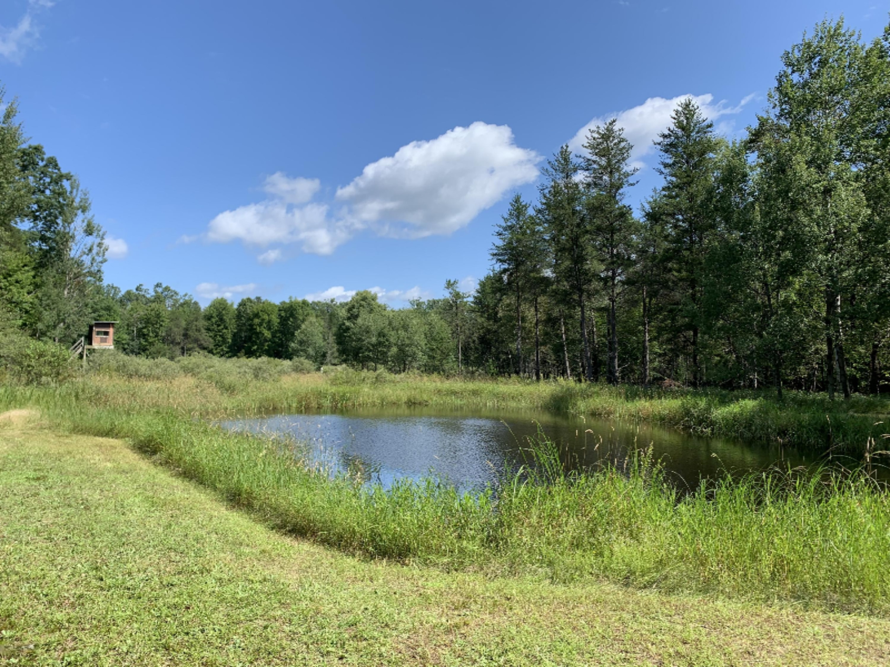 9230 East Kinney Road Branch, MI 49402 - Photo 22 of 26 Pond/Deer Stand beyond