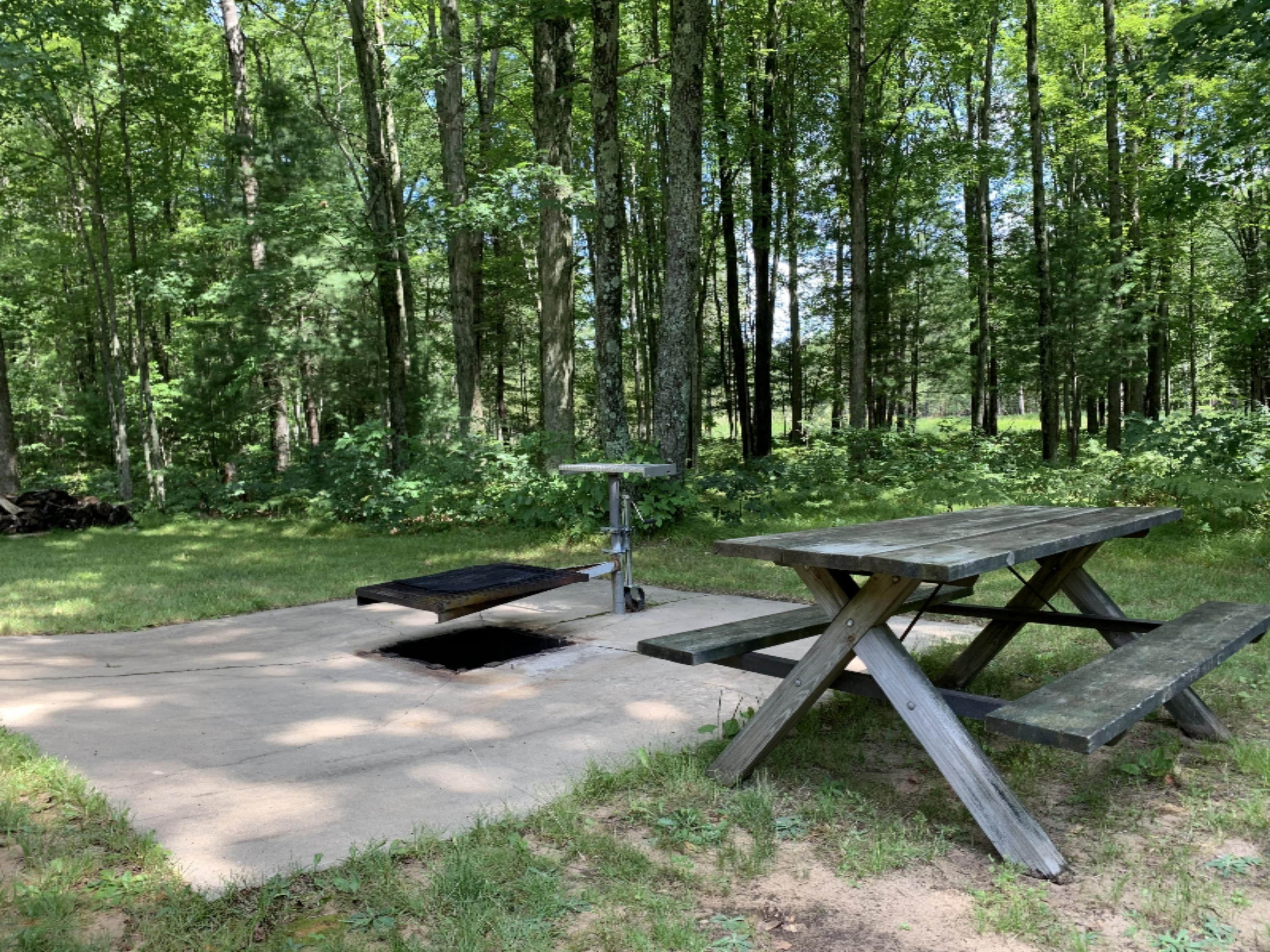 9230 East Kinney Road Branch, MI 49402 - Photo 6 of 26 Outdoor Cooking Pit