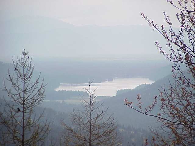 403 Spirit Inn Mead, WA 99021 - Photo 3 of 7 Gallery Image 3