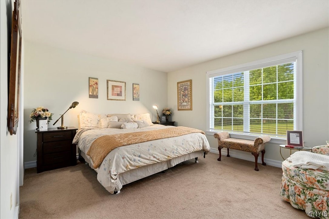 5869 Stellium Drive Camillus, NY 13209 - Photo 23 of 44