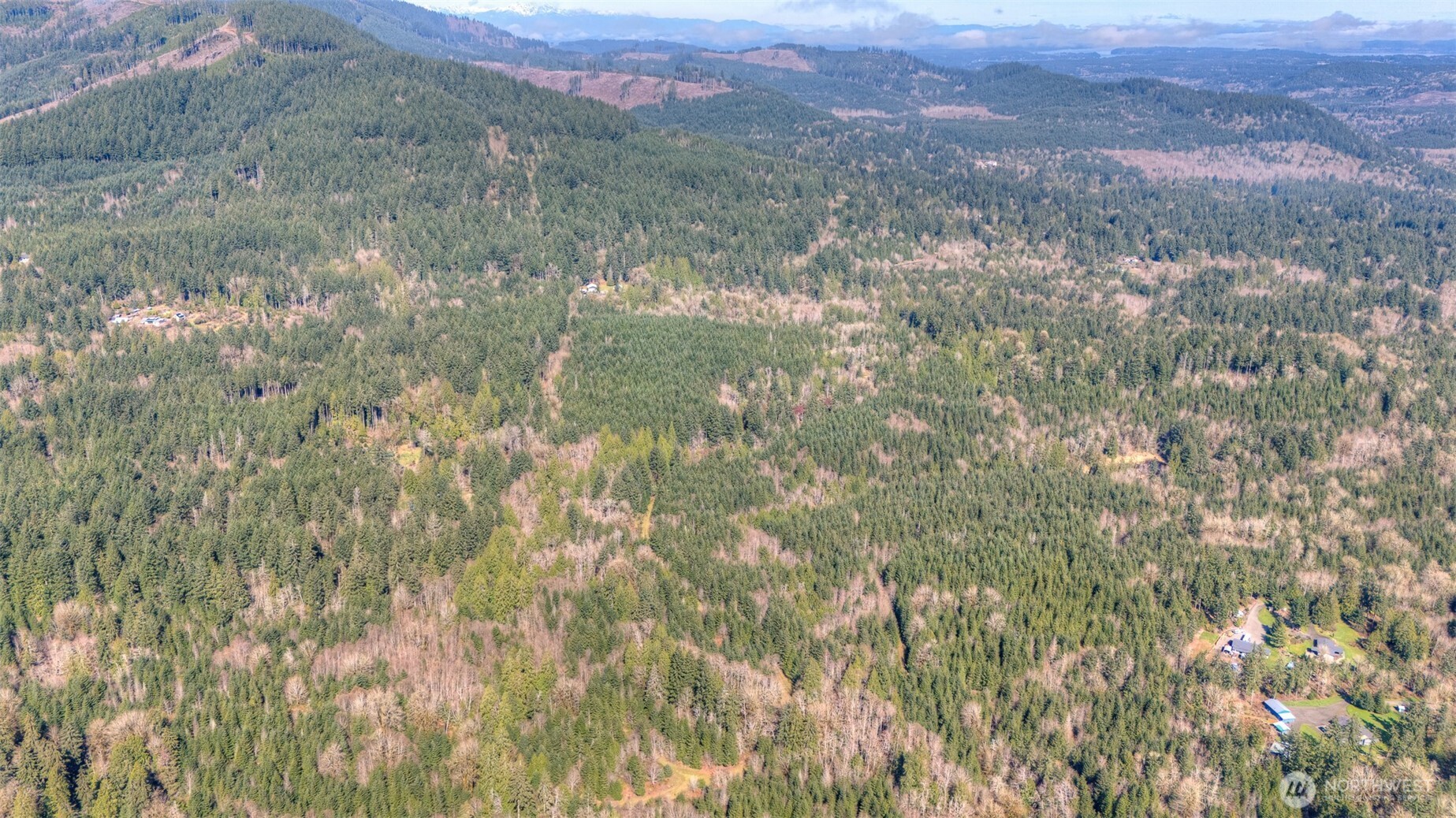 0 Brown Road Southwest Olympia, WA 98512 - Photo 12 of 16