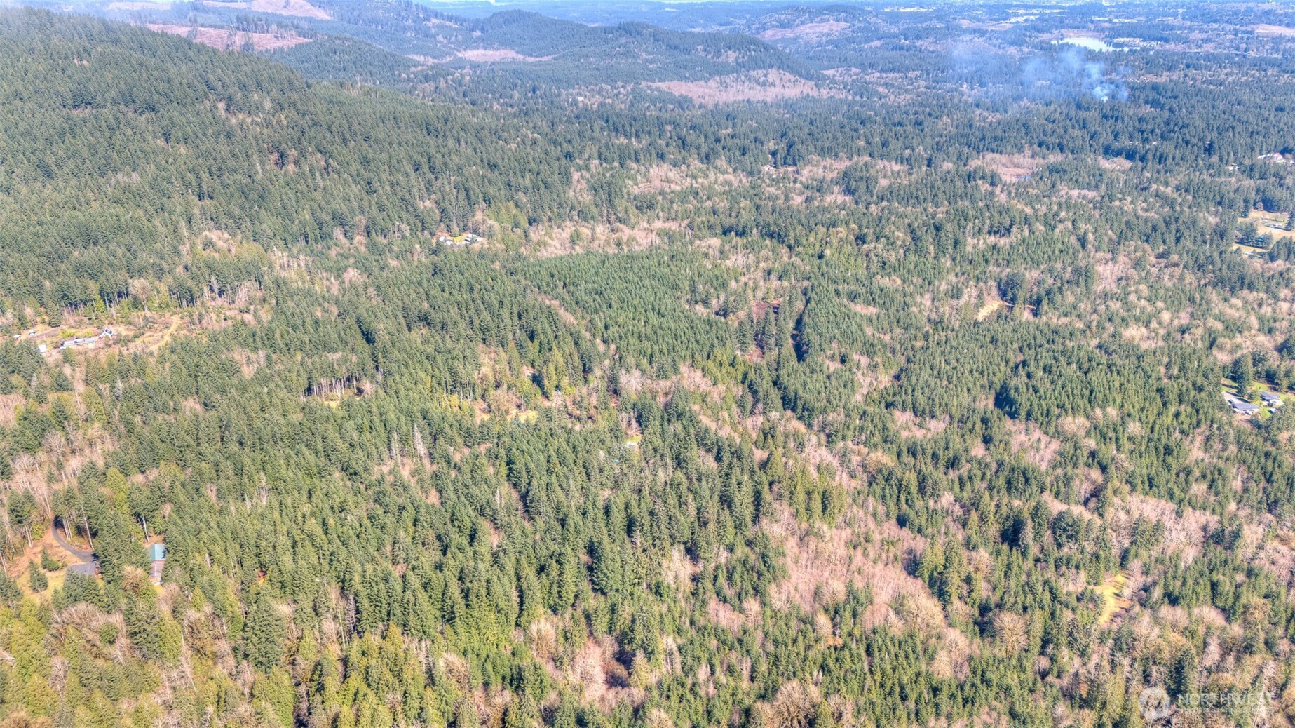 0 Brown Road Southwest Olympia, WA 98512 - Photo 13 of 16