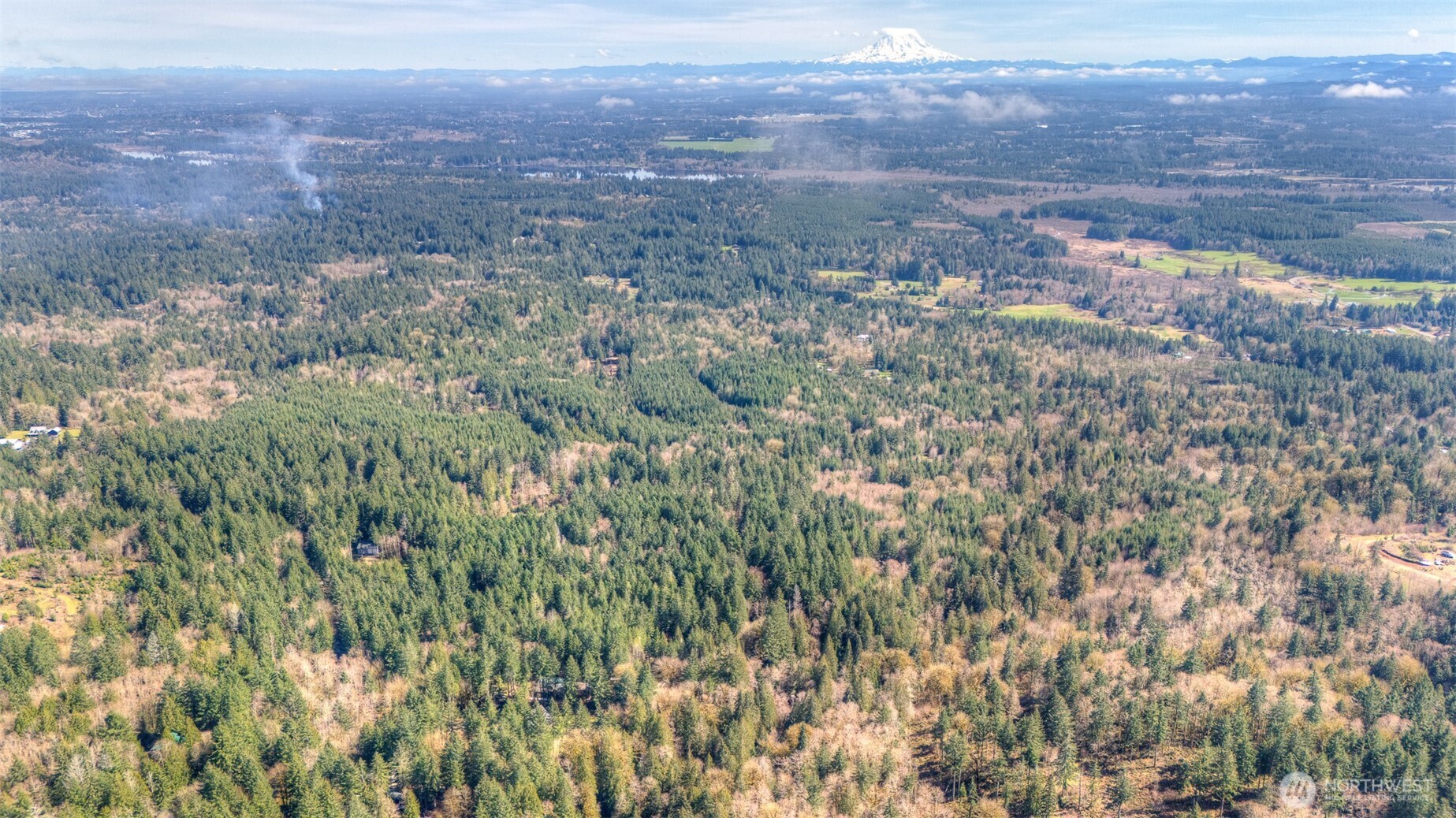 0 Brown Road Southwest Olympia, WA 98512 - Photo 14 of 16