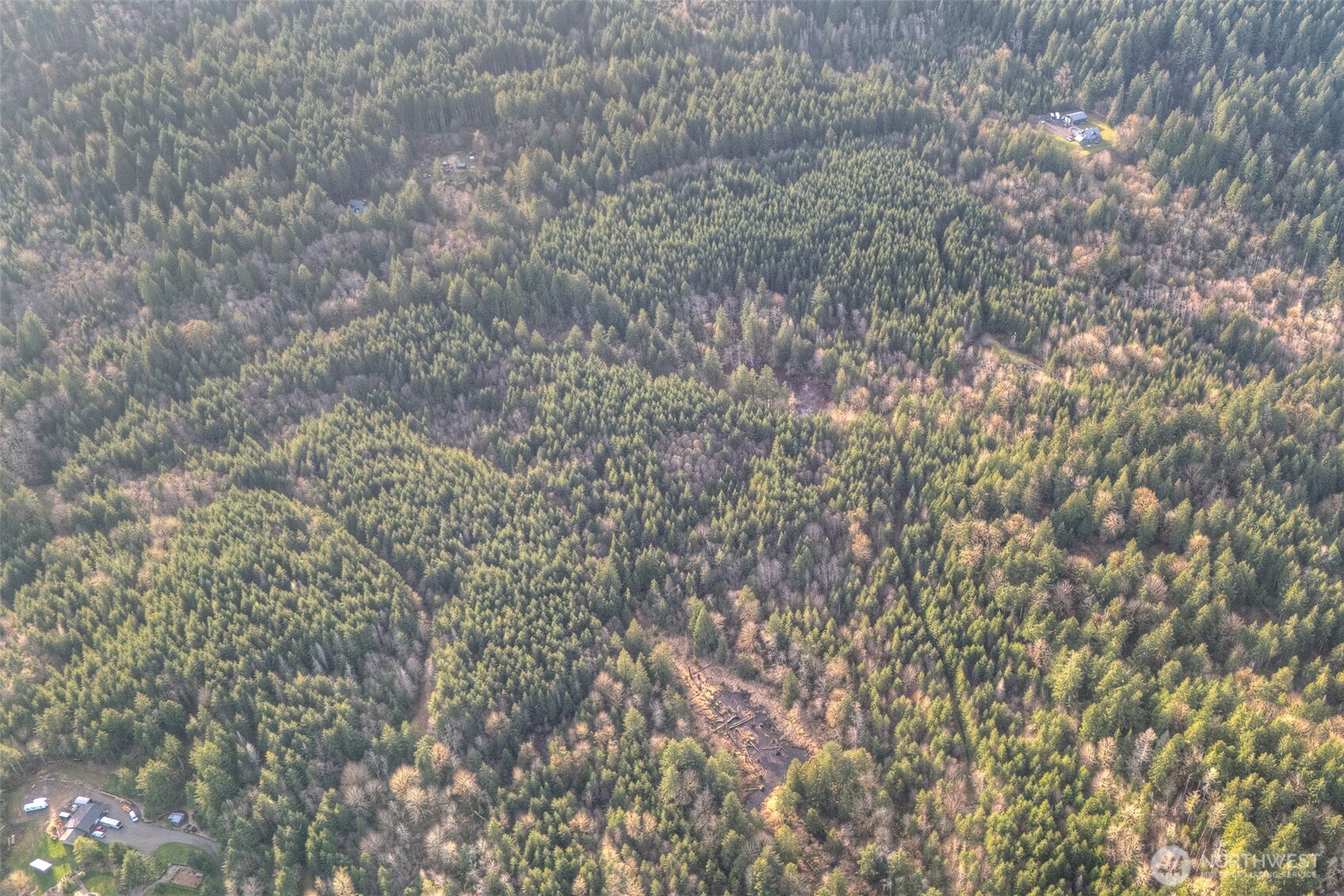 0 Brown Road Southwest Olympia, WA 98512 - Photo 3 of 16