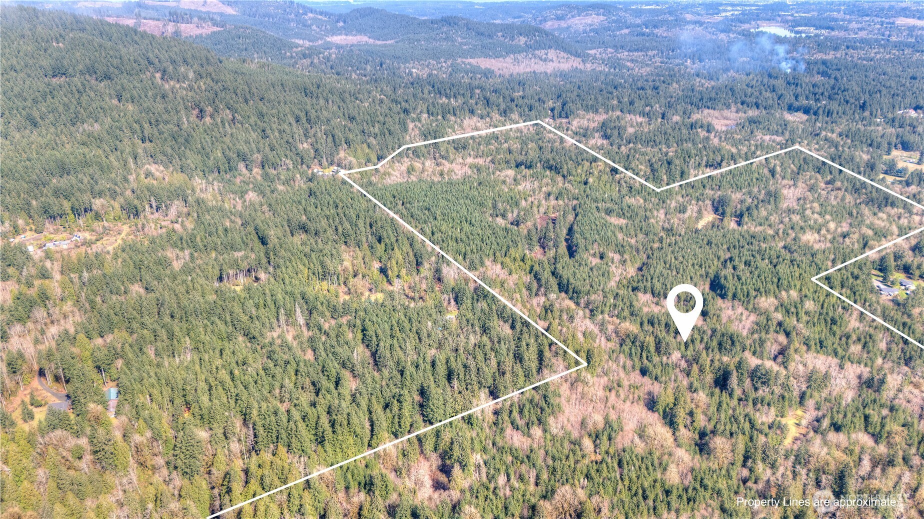 0 Brown Road Southwest Olympia, WA 98512 - Photo 4 of 16