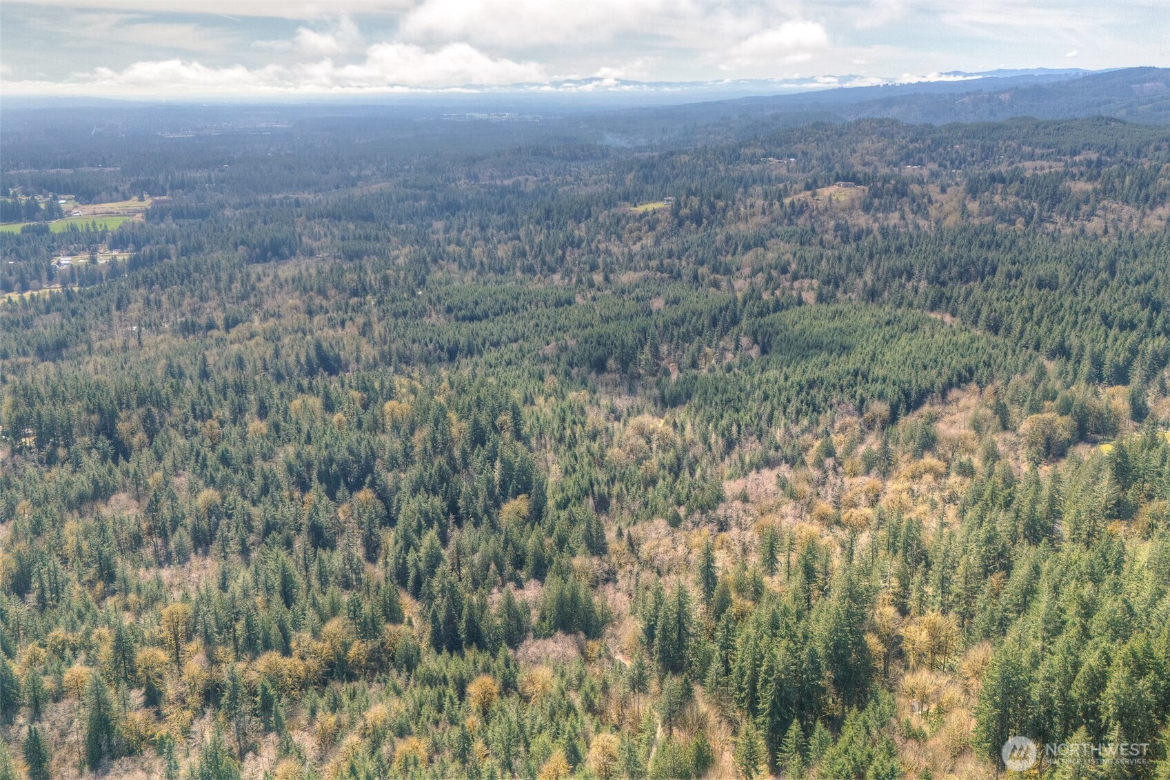 0 Brown Road Southwest Olympia, WA 98512 - Photo 7 of 16