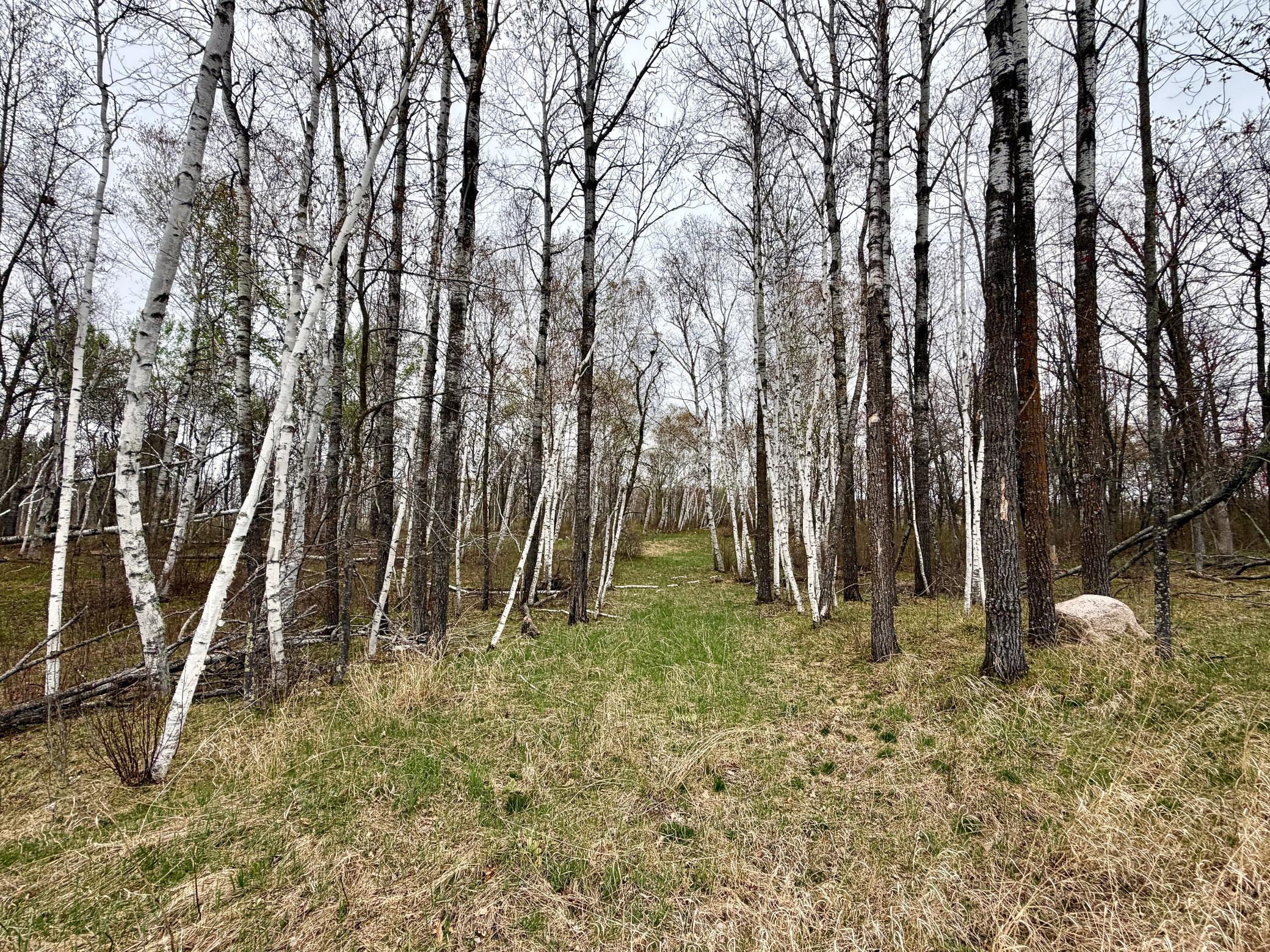 L17-b1 L17-b1 Acorn Ridge Road Northwest Bemidji, MN 56601 - Photo 2 of 4