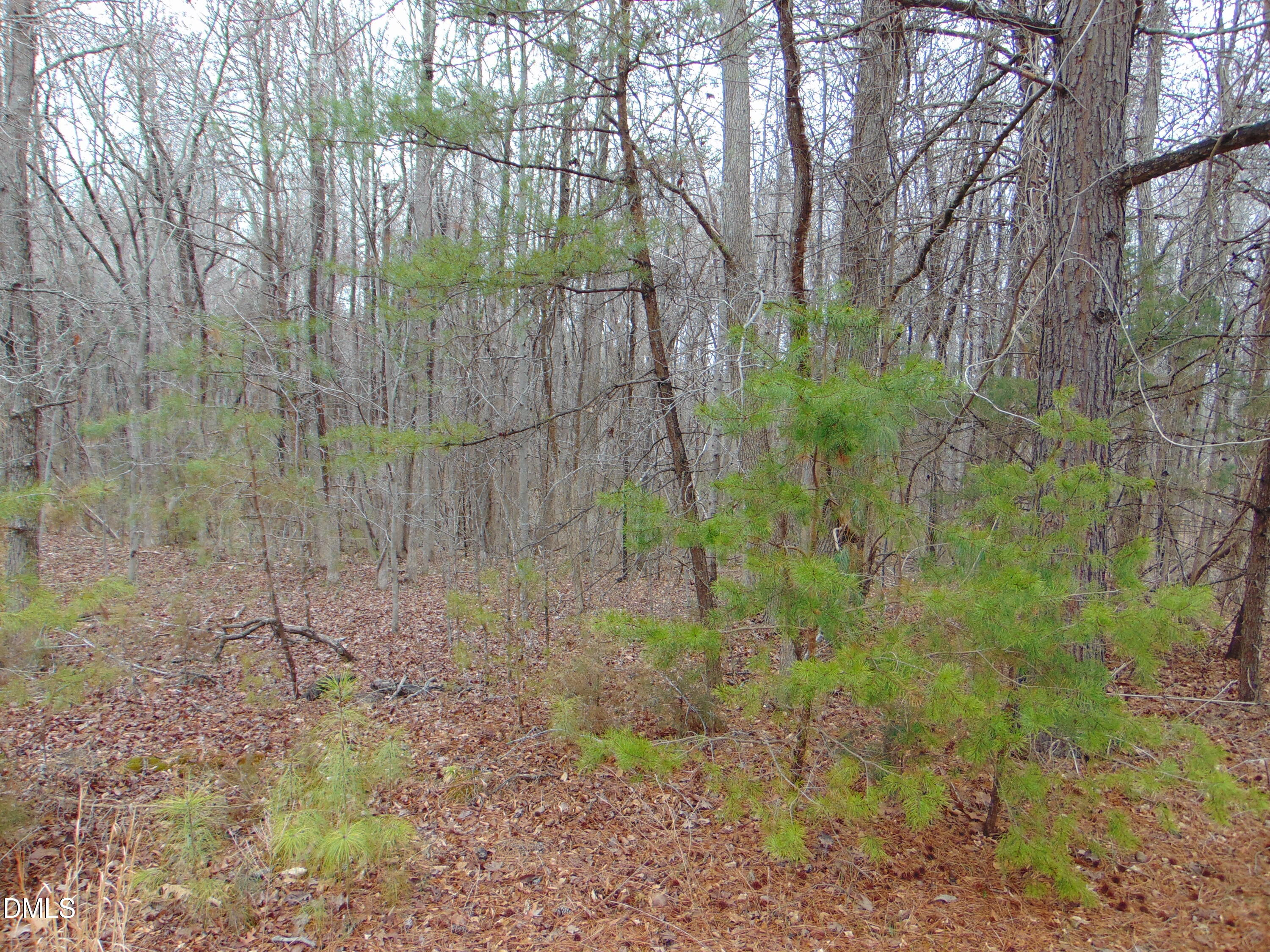 0 Fowlkes Road Pelham, NC 27311 - Photo 3 of 16 DSC01435