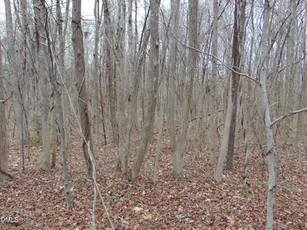 $20,000 | 0 Fowlkes Road, Pelham, NC 27311