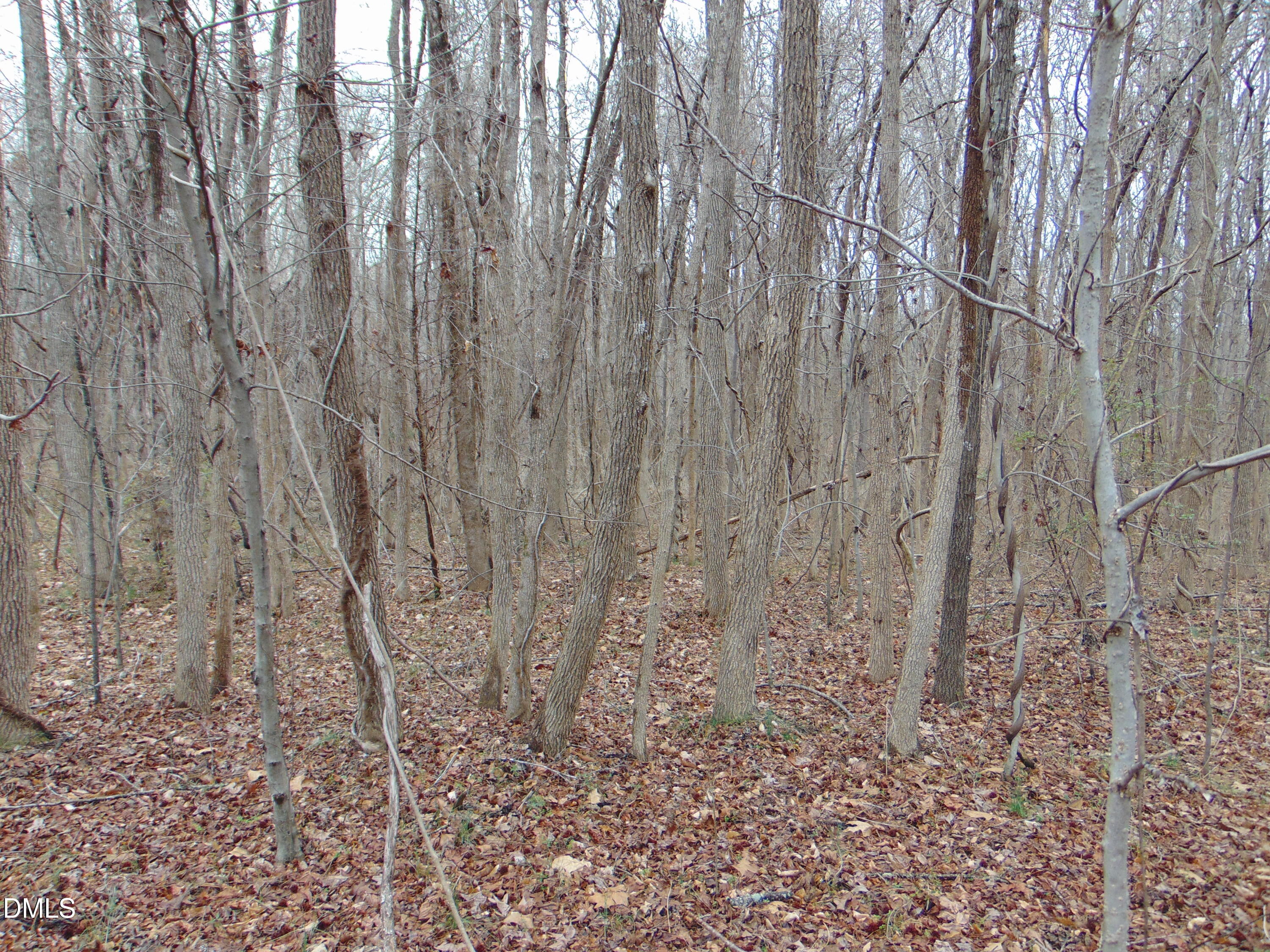 0 Fowlkes Road Pelham, NC 27311 - Photo 4 of 16 DSC01436