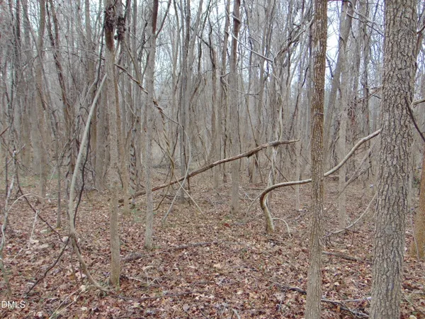 $20,000 | 0 Fowlkes Road, Pelham, NC 27311