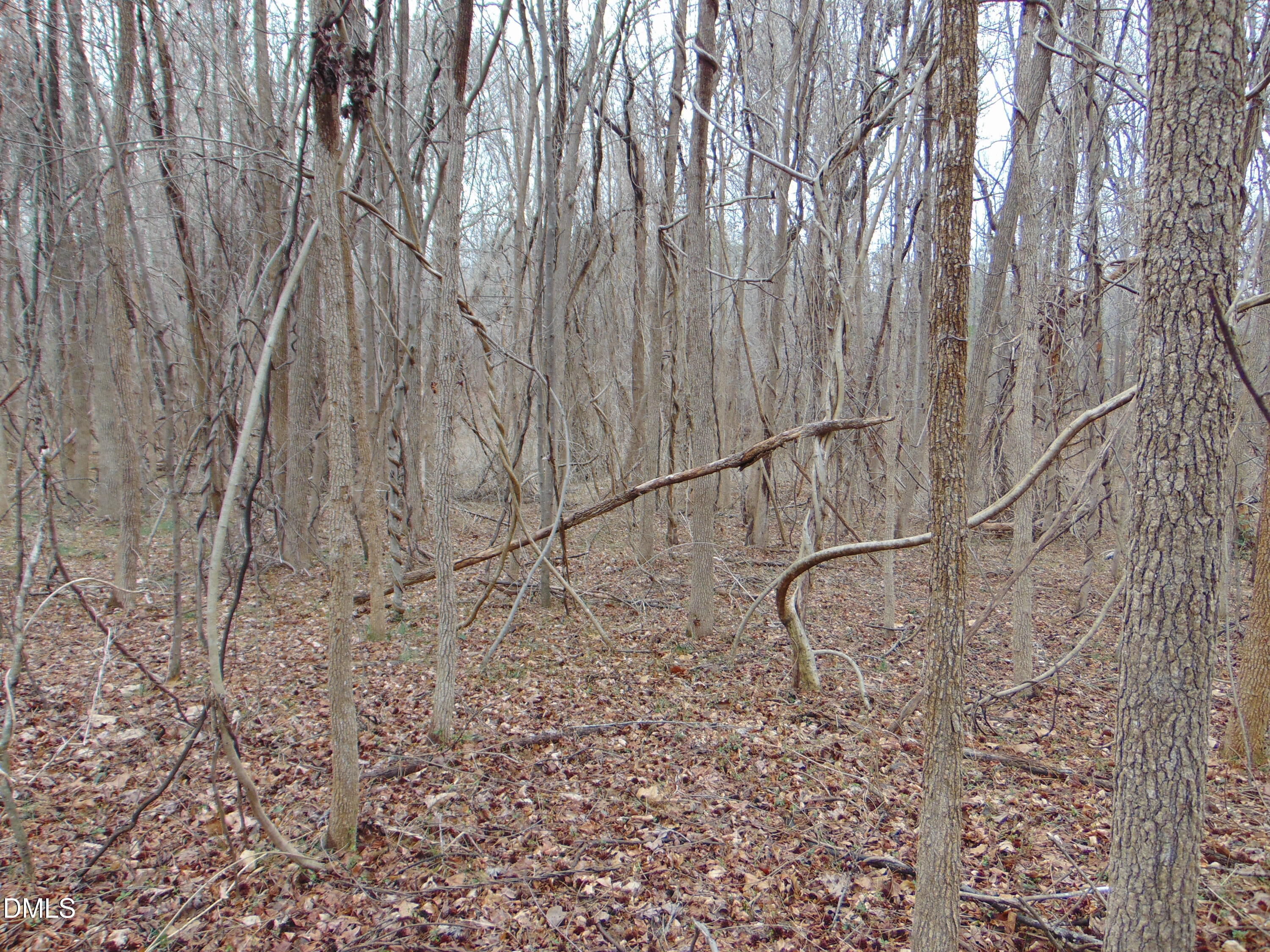 0 Fowlkes Road Pelham, NC 27311 - Photo 5 of 16 DSC01437
