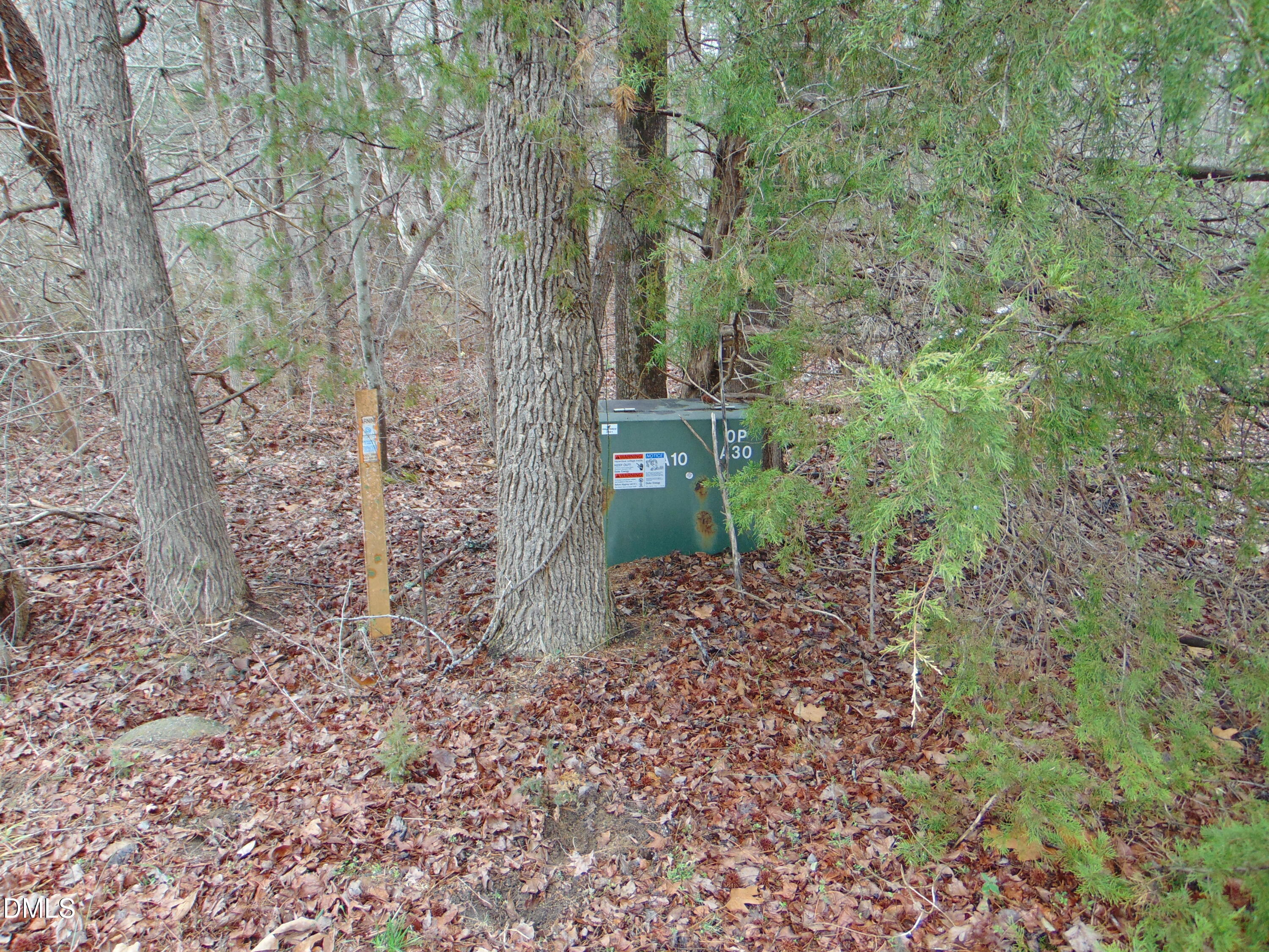0 Fowlkes Road Pelham, NC 27311 - Photo 6 of 16 DSC01438
