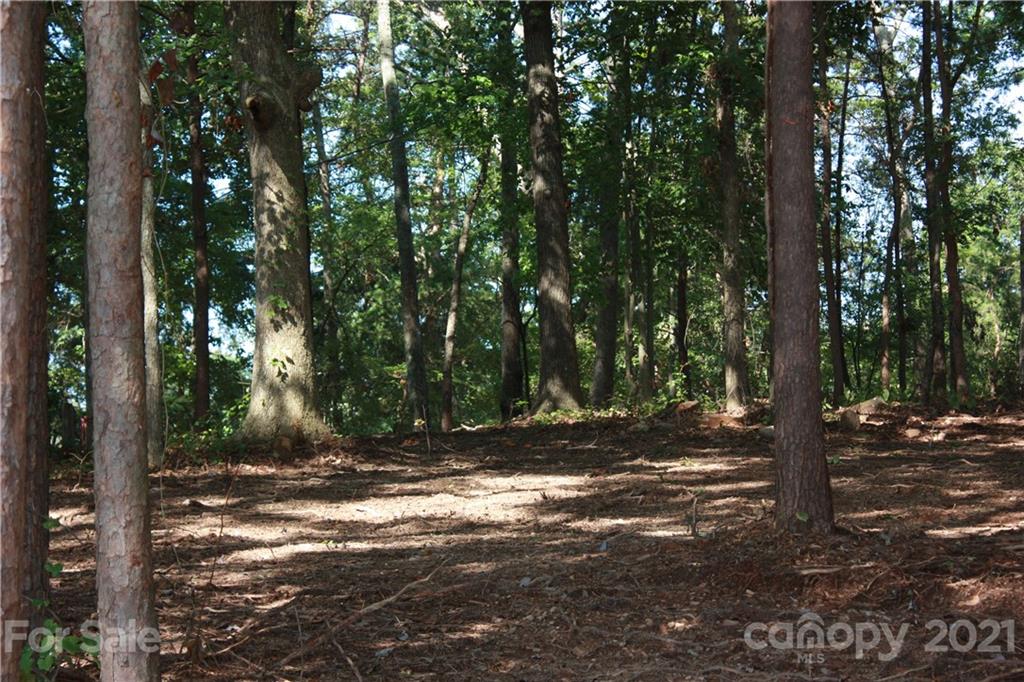1 Ranger Island Road Denver, NC 28037 - Photo 16 of 36 Gallery Image 16