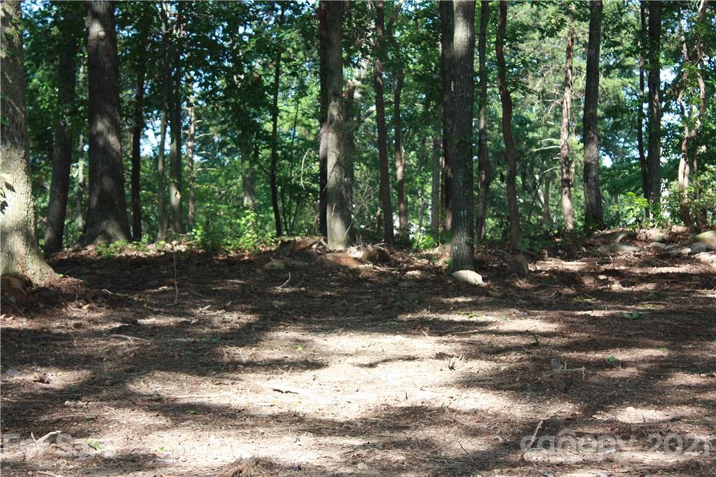 1 Ranger Island Road Denver, NC 28037 - Photo 17 of 36 Gallery Image 17