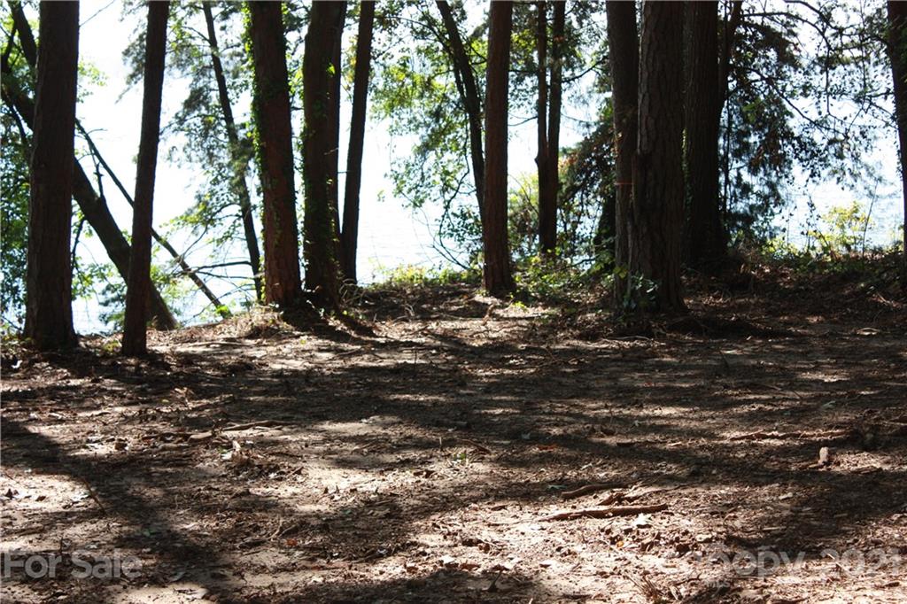 1 Ranger Island Road Denver, NC 28037 - Photo 18 of 36 Gallery Image 18
