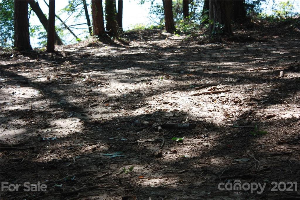 1 Ranger Island Road Denver, NC 28037 - Photo 5 of 36 Gallery Image 5
