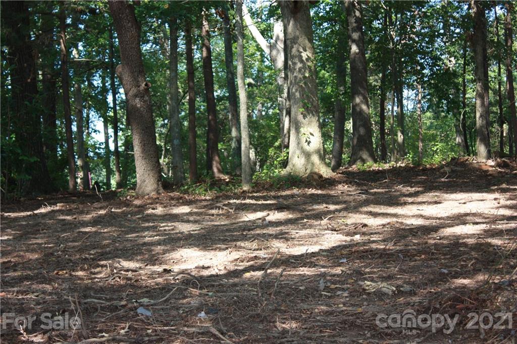 1 Ranger Island Road Denver, NC 28037 - Photo 8 of 36 Gallery Image 8
