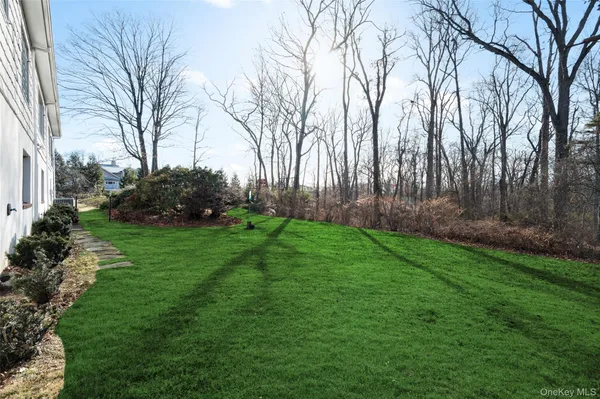 a backyard of a house with plants and large trees