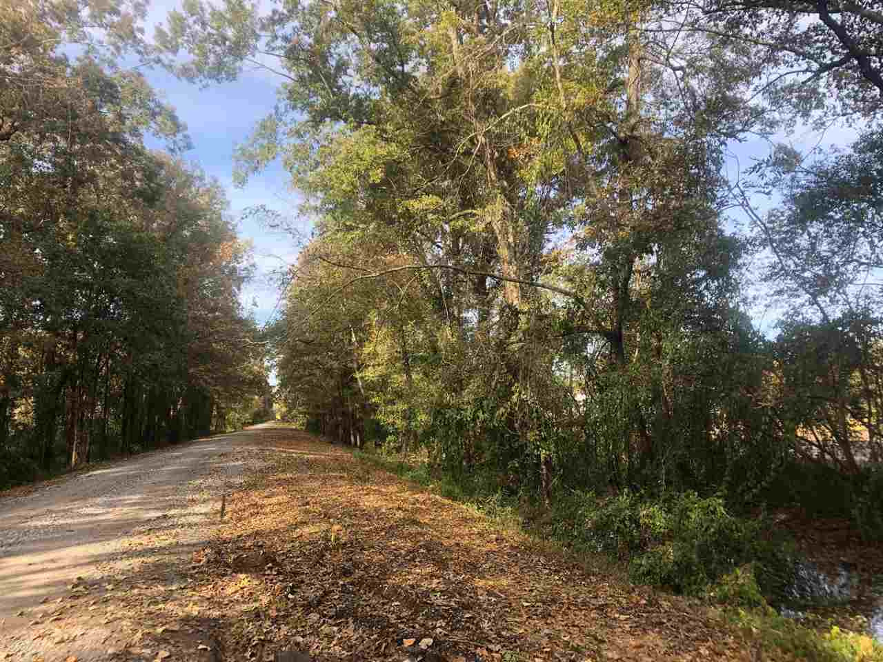 0 Firetower Road Holly Bluff, MS 39088 - Photo 1 of 10 Photo 1