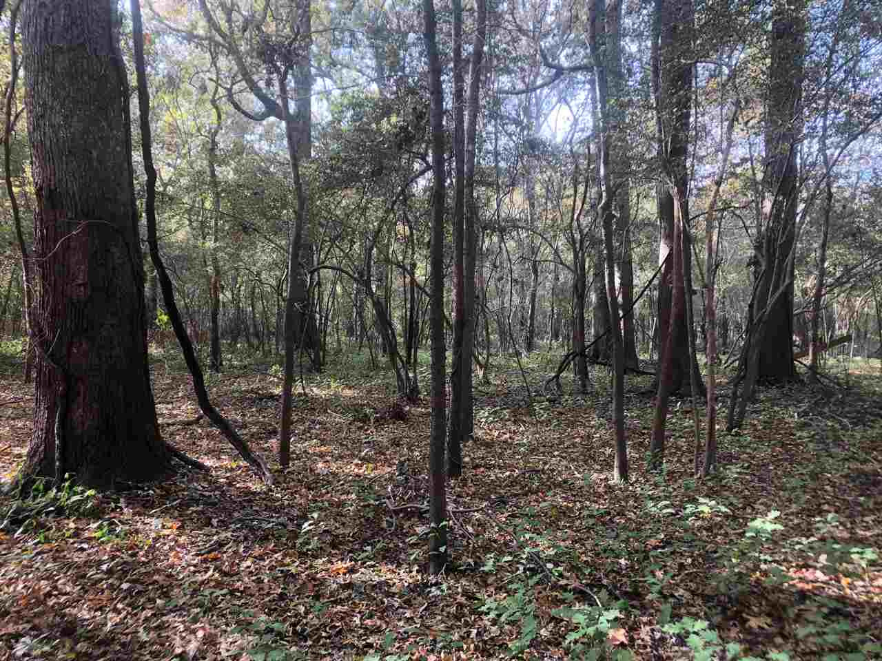 0 Firetower Road Holly Bluff, MS 39088 - Photo 4 of 10 Photo 4