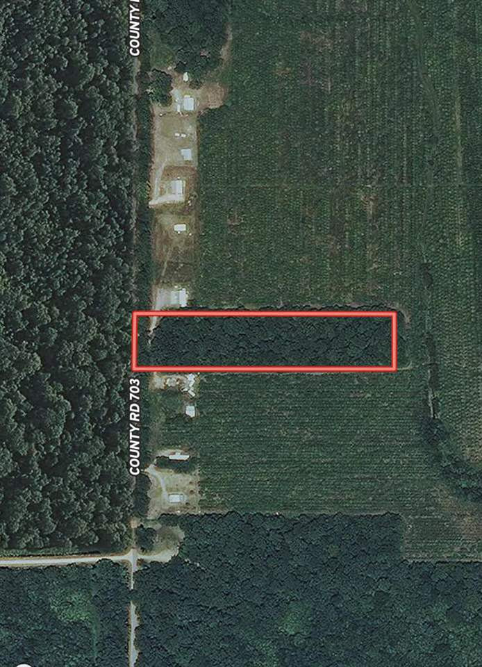 0 Firetower Road Holly Bluff, MS 39088 - Photo 6 of 10 Photo 6