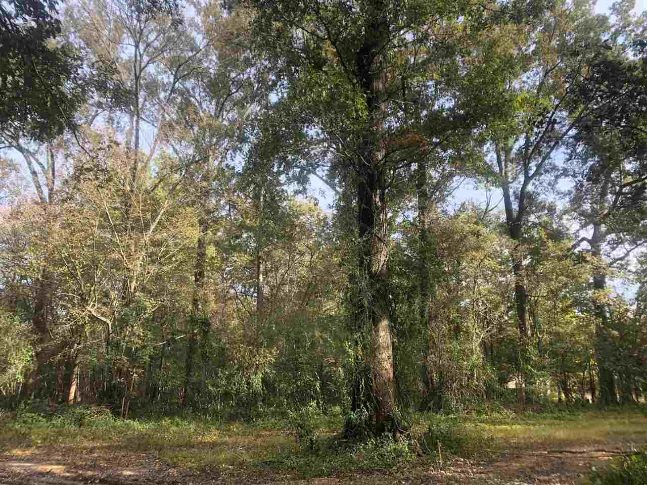 0 Firetower Road Holly Bluff, MS 39088 - Photo 8 of 10 Photo 8