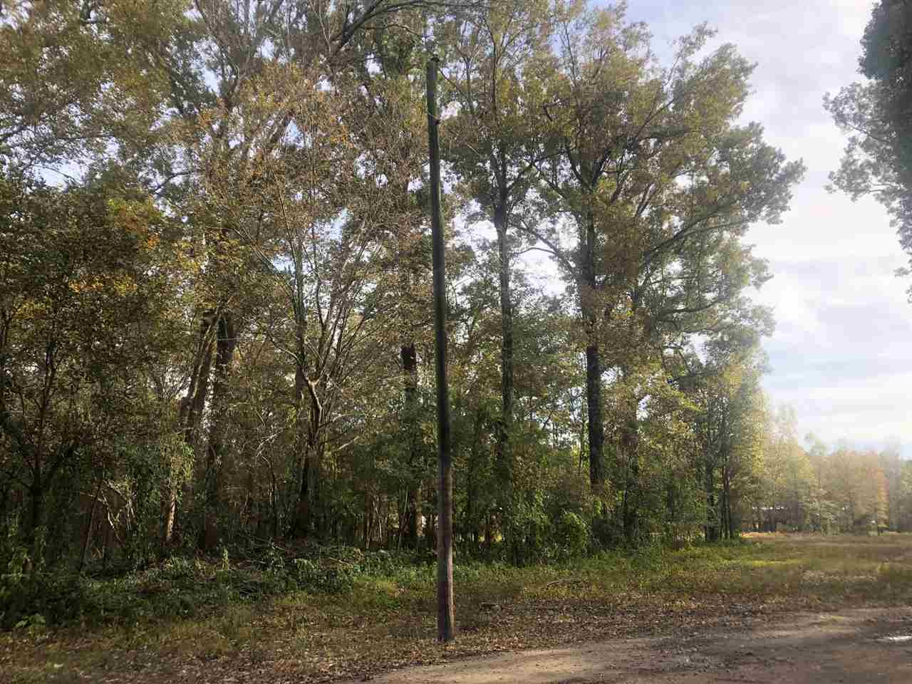 0 Firetower Road Holly Bluff, MS 39088 - Photo 9 of 10 Photo 10