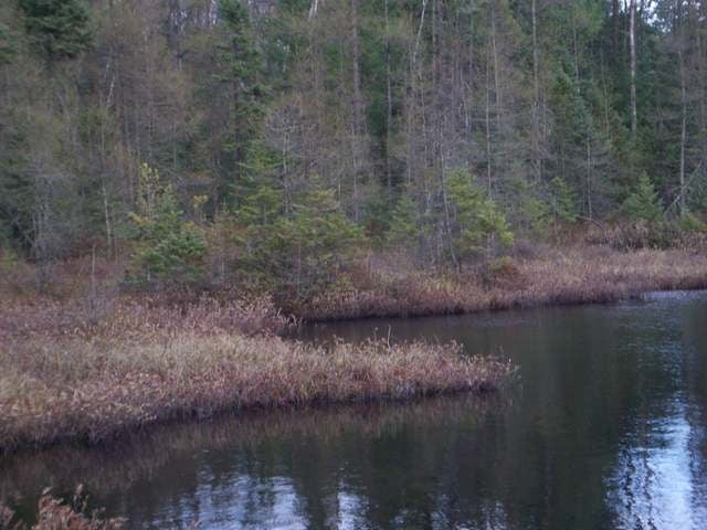 On Estelle Drive Rhinelander, WI 54501 - Photo 15 of 15 Gallery Image 15